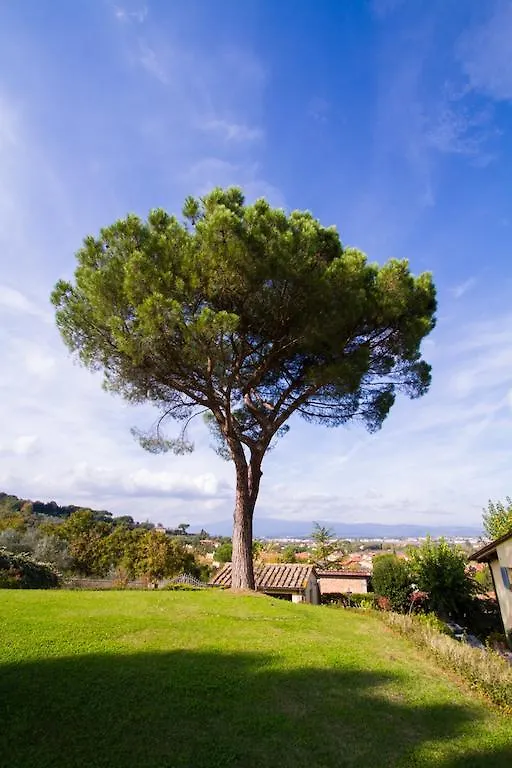 Casa Limonaia Apartment Arezzo